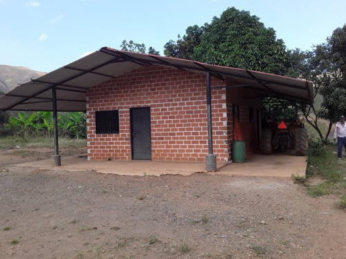 Imagen 6 de 7 de Se Vende Granja En Güigüe, Carabobo - Inmobiliaria Maggi Cod. 347