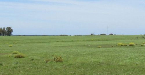 Estancia Ganadero - Agrícola Ref. 1454