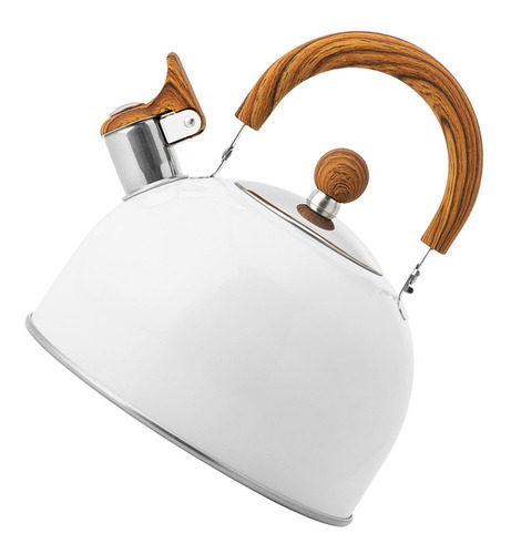 Estufa Whistle Kettle Con Mango Plegable De Acero Inoxidable