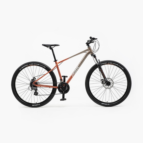 Mountain Bike Thunderbolt R29 24v  