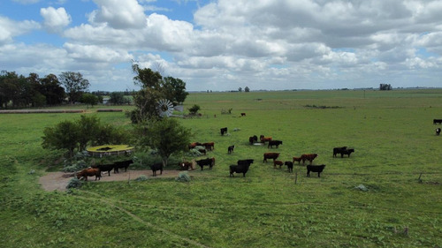 Campo 42 Has. Sobre Asfalto. Ranchos