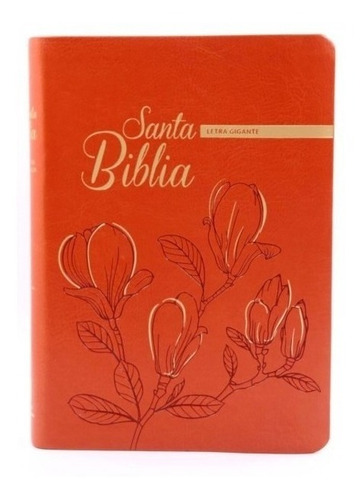 Biblia Reina Valera 1960 Letra Gigante Canto Dorado