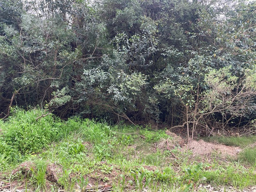 Venta Terreno Punta Del Este