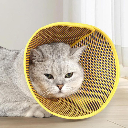 Cono De Gato Cono De Cuello De Gato Cono De Recuperación S
