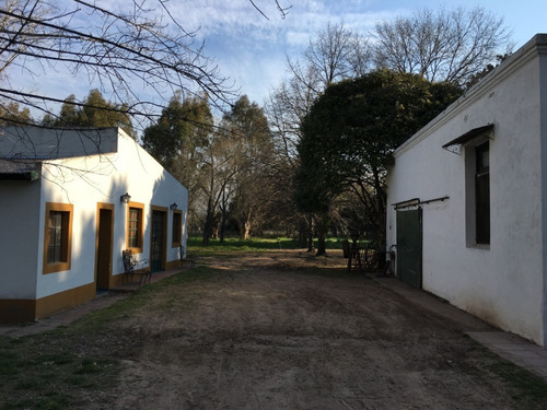 Imagen 7 de 30 de Espectacular Estancia En General Las Heras