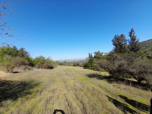 Visite 3 Opciones De Parcelas En Los Laureles (171106)