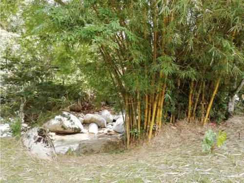 Venta Finca En Yolombo Via Gomez Plata