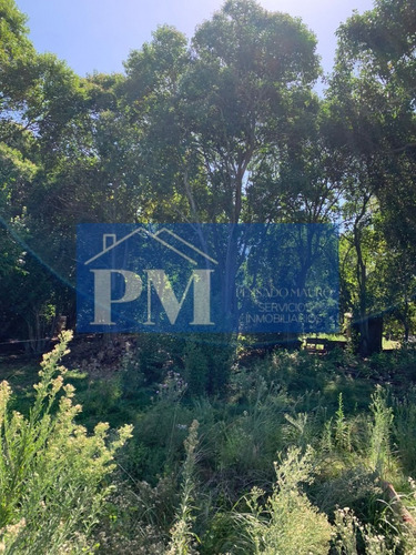Terreno En Venta En Velloso