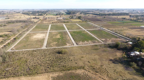 Lotes En Fincas Los Cerezos, Los Hornos