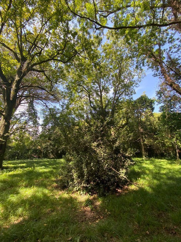 Imagen 10 de 17 de 27 Entre 420 Y 422 - Lote En Venta - Villa Elisa, La Plata