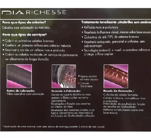 Kit Loreal Dia Richesse Tonalizante 2 Nº8 + 2 Revel. 9vol em Promoção na  Americanas