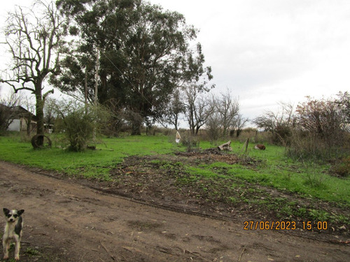 Propiedad Agrícola De Riego Con Derechos De Aguas Río Ñuble