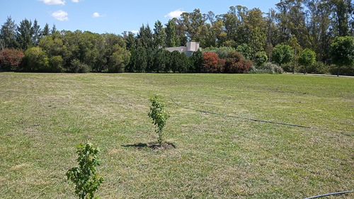 Venta De Lote, La Plata