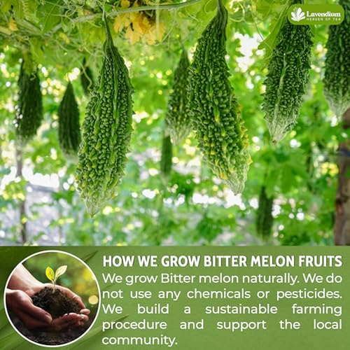 120 Bolsitas De Té De Melón Amargo, 100% Natural Y Puro Sin