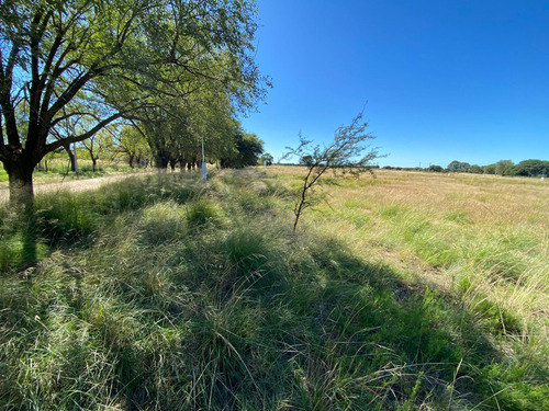 Loteo Don Adolfo - Ataliva Roca (la Pampa)