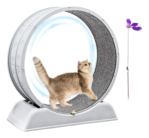 Esteira Cat Wheel Exerciser Lalakats Cat Para Gatos Doméstic