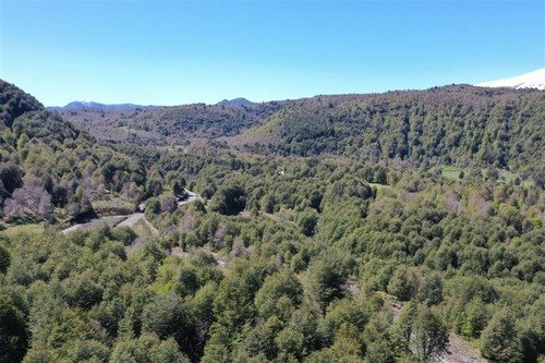 Terrenos 5.000 M2 Sector Las Tinajas, Malalcahuello