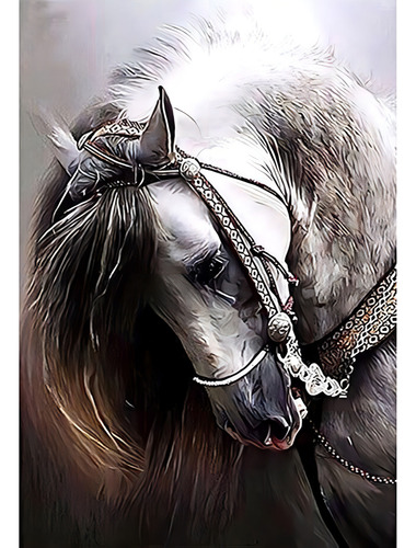 Eiflow Diam Ond Painting Art Kits Caballo - 12x16in Diamante