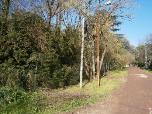 Terreno En Venta En Muñiz
