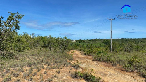 Imagem 5 de 12 de Terreno 3.000m² Em Tabatinga (excelente Para Condomínios E Hotéis) - Te0784