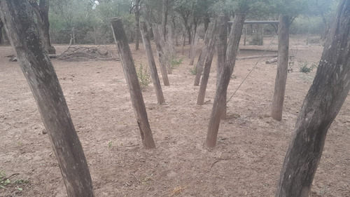 Vendo Finca En Tolloche (recibo Permutas)