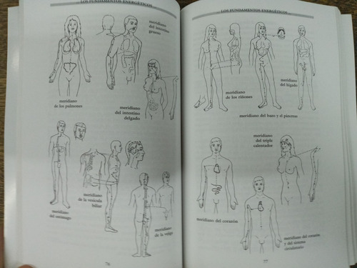 Imagen 6 de 8 de El Espiritu De Reiki * Walter Lubeck * Manual Completo *