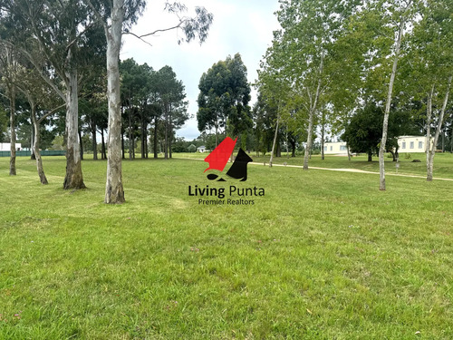 Hermoso Lote En Venta De 5000 Mtrs 2