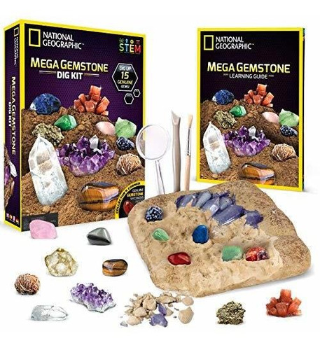Arañas  National Geographic Mega Kit De Excavación De Pied