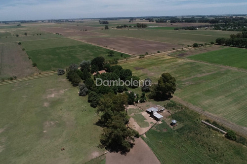 Imagen 1 de 22 de Terreno Campo En Venta Ubicado En General Rodríguez, G.b.a. Zona Oeste