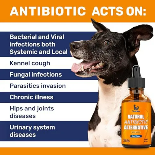Antibiótico Para Perros Con Sabor A Carne 2 Oz
