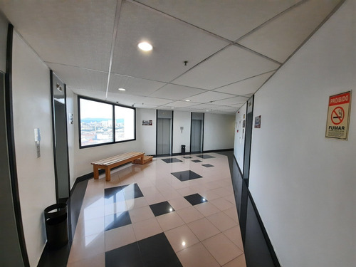 Comercial Para Aluguel, 1 Vaga, Lapa - São Paulo/sp - 1064