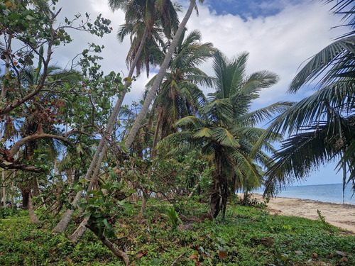 Se Vende Terreno En Samana Primera Línea 