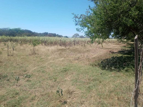 Imagen 5 de 6 de Finca Para Actividad Agropecuaria