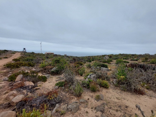 Imagen 7 de 11 de Terreno El Arrayan La Serena, Km 492
