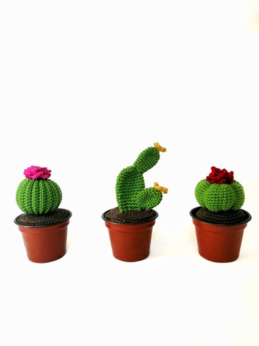 Pack 3 Cactus Amigurimis