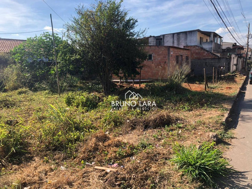 Imagem 8 de 9 de Terreno À Venda Em Igarapé Bairro Roseiras - Te0247