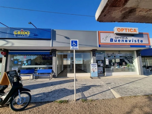 Imagen 5 de 14 de Local Comercial Céntrico Muy Amplio