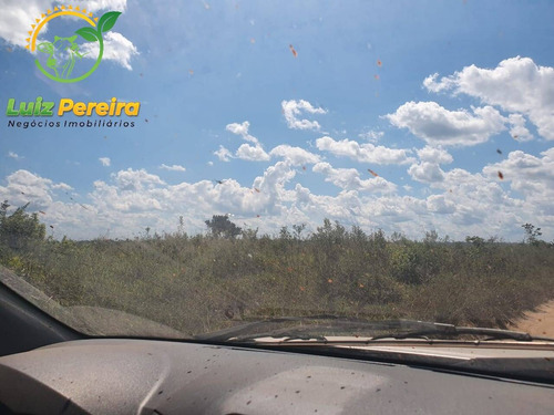Imagem 15 de 15 de Fazenda À Venda Em Rondom - Pa - 11.000 Hectares (dupla Aptidão) - 1949