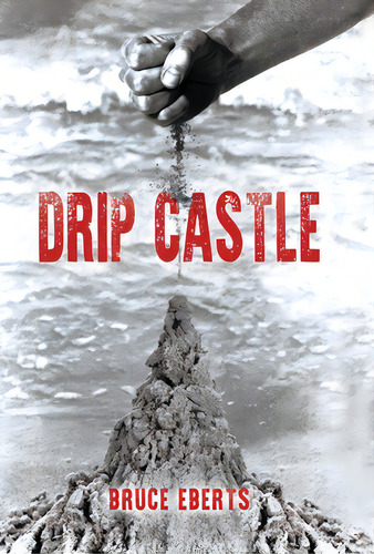 Drip Castle, De Eberts, Bruce. Editorial Tellwell Talent, Tapa Dura En Inglés