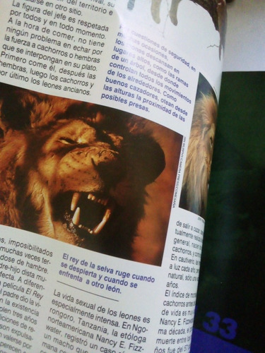 Imagen 4 de 5 de Revista Conozca Más El León Por Qué Es El Rey Año 6 No. 5
