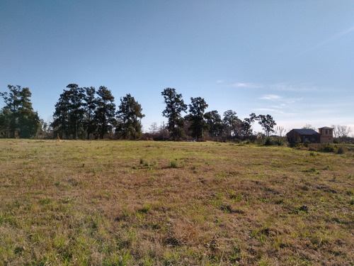 Imagen 3 de 6 de Lote - Río Paranacito