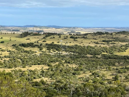 Campo 95 Has Cerca De Pueblo Eden Con Excelentes Vistas