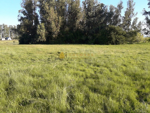Campo En Ruta 39 - Consulta!!!!!!-ref:3599