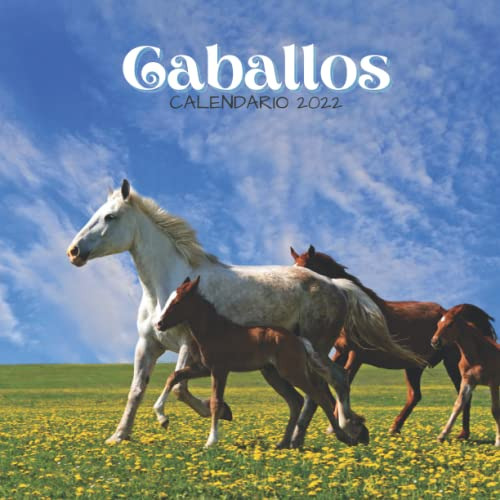 Caballos Calendario 2022: Calendario 2022 8 5''x8 5'' - Rega