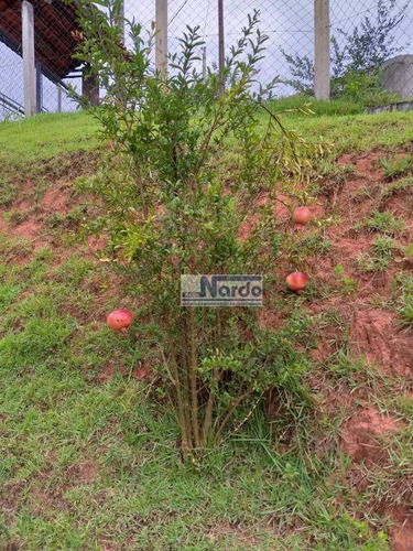 Imagem 16 de 19 de Chácara À Venda Em Bragança Paulista, Bairro Atibaianos - Ch0020