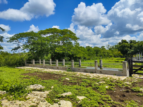 Venta De Rancho En Zona Ganadera De Yucatán, Con Cenotes, 453 Has