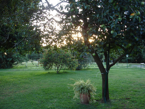 Imagen 2 de 23 de 1 Hectarea - Duggan - Con Casita - Pileta Y Arboleda
