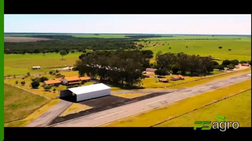 Imagem 14 de 19 de Fazenda À Venda, 108300000 M² Por R$ 180.000.000 - Centro - Canarana/mt - Fa0300