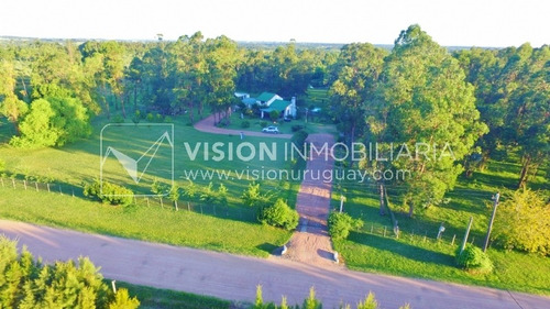 Imagen 5 de 30 de Chacra De 15 Hás Con El Confort De Hermosa Casa Reciclada, Barbacoa Y Piscina Climatizada.