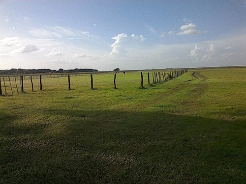 Imagen 6 de 15 de Hato En Venta En Elorza, Apure